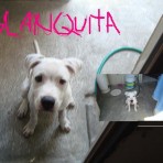 Blanquita